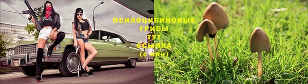 соль ск Белоозёрский
