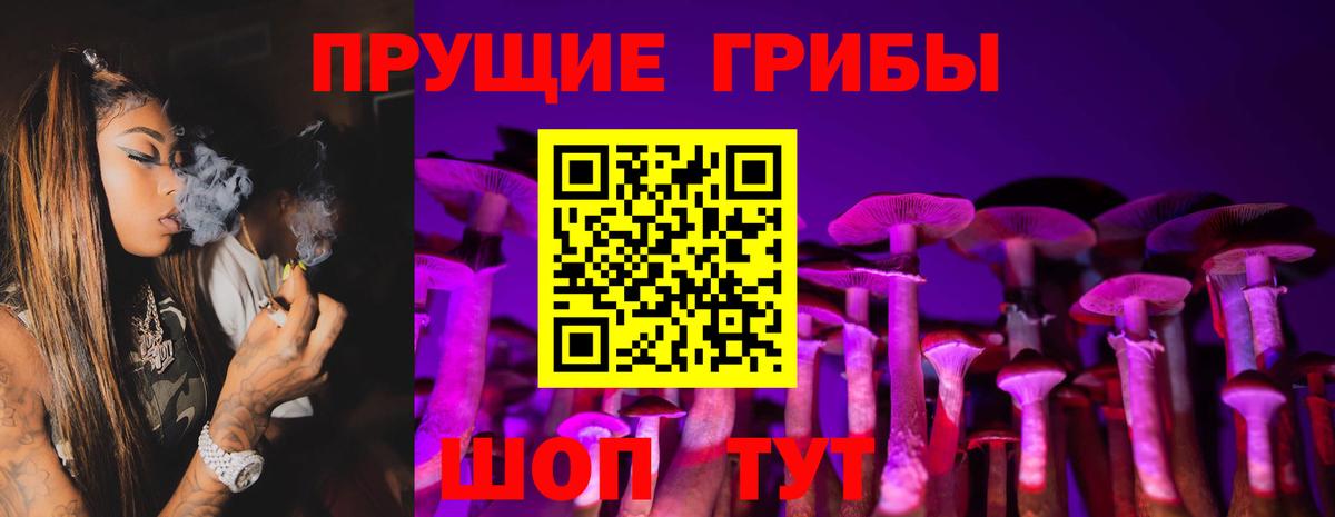 Псилоцибиновые грибы Psilocybe  Вход с VPN  Реж  Галлюциногенные грибы GOLDEN TEACHER 